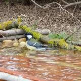 photo 2021-04-03 12-44-45 cinke