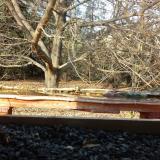 photo 2021-11-01 14-10-06