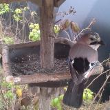 photo 2019-12-12 11-23-49