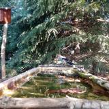 photo 2023-10-03 10-45-57