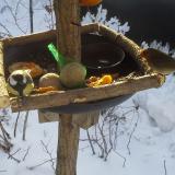 photo 2019-01-26 09-19-57