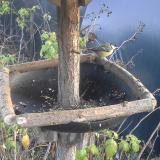 photo 2019-12-14 15-01-16