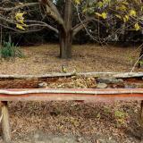 photo 2021-10-22 10-29-35