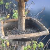 photo 2019-12-14 15-04-05