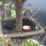 photo 2019-12-06 13-33-22