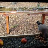 photo 2021-11-03 14-07-31