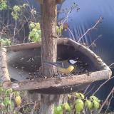 photo 2019-12-14 13-41-05