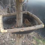 photo 2019-03-04 07-07-08