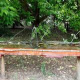 photo 2021-05-25 11-55-05