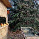 photo 2021-12-22 10-00-39