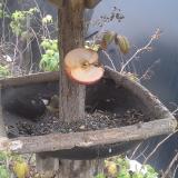 photo 2019-12-05 14-27-10