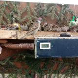 photo 2021-02-03 09-42-24