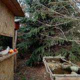 photo 2021-12-18 13-49-58