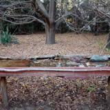 photo 2021-10-24 17-09-28