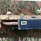 photo 2021-02-01 14-20-31