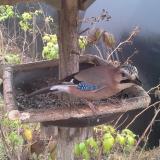 photo 2019-12-12 12-40-12