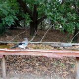 photo 2021-09-20 13-50-47