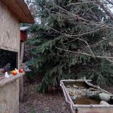 photo 2021-12-18 15-29-28