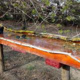 photo 2021-04-08 16-36-03