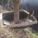 photo 2019-03-15 09-02-05