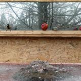 photo 2022-01-16 10-21-40