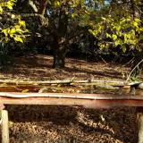 photo 2021-10-20 09-42-57