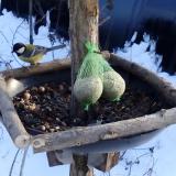 photo 2019-01-09 14-27-59