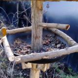 photo 2019-01-02 08-34-04