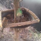 photo 2019-02-15 07-30-38