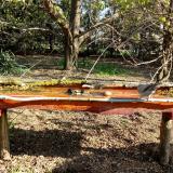 photo 2021-04-10 08-45-26