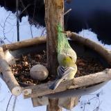 photo 2019-01-11 14-09-08