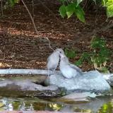 photo 2021-08-07 18-46-21 kaja