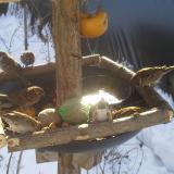 photo 2019-01-27 10-06-53