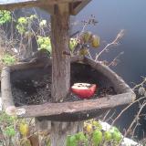 photo 2019-12-06 09-06-21