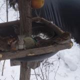 photo 2019-01-27 11-36-25