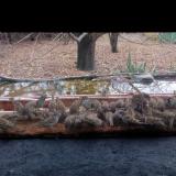 photo 2021-11-28 12-41-17