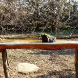 photo 2021-03-11 08-49-42