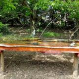 photo 2021-04-30 14-12-43