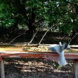 photo 2021-09-06 08-10-17