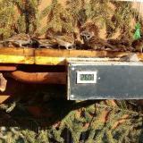 photo 2021-02-22 13-45-51