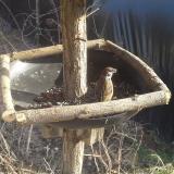 photo 2019-03-01 15-01-49