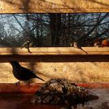 photo 2022-01-24 10-37-38