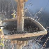 photo 2019-12-30 13-06-19