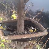 photo 2019-12-23 10-07-47