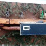 photo 2021-02-19 16-17-06