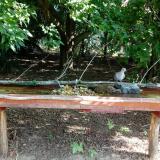 photo 2021-07-22 09-04-06