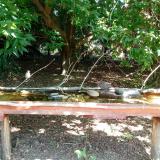 photo 2021-08-03 11-05-19