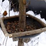 photo 2019-01-08 10-00-15