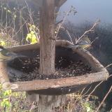 photo 2019-12-23 10-02-35