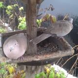 photo 2019-12-02 09-56-36